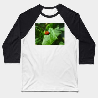 Lady Bug Baseball T-Shirt